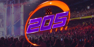 WWE 205 Live Results - May 7, 2019